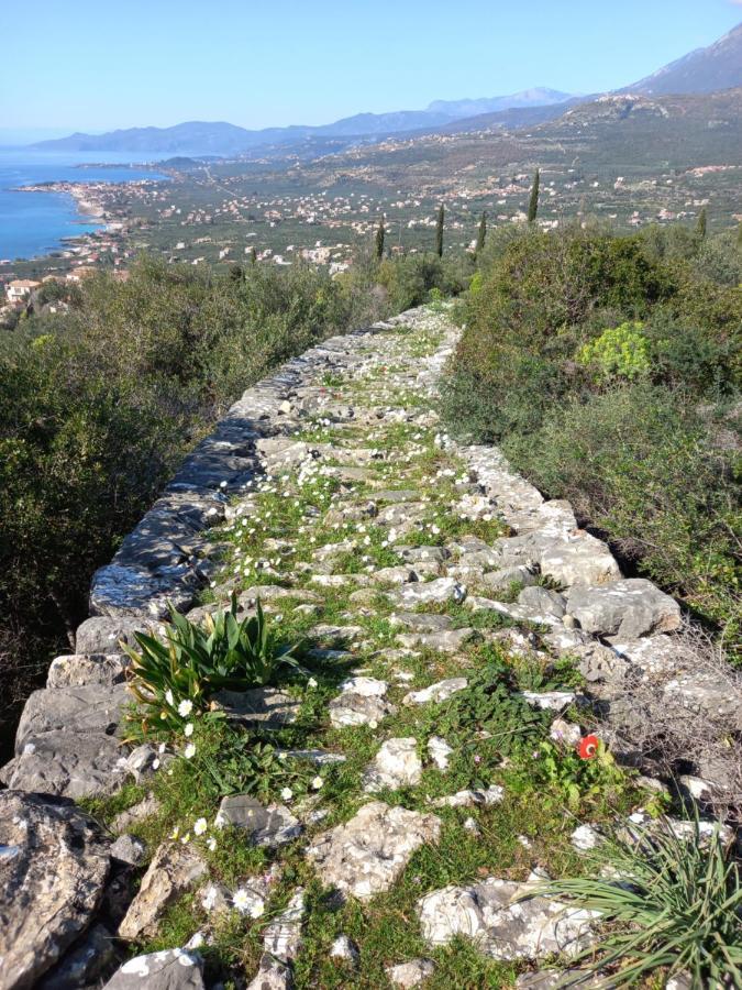 Villa Pefnos Agios Nikolaos  Extérieur photo