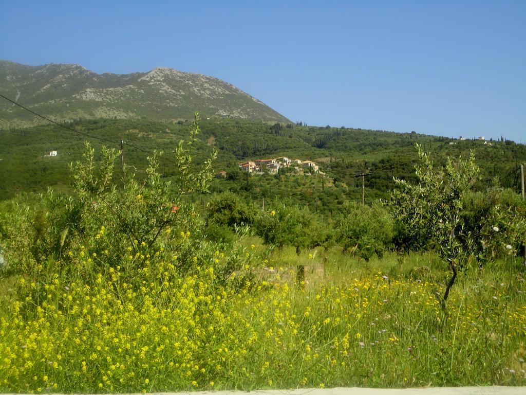 Villa Pefnos Agios Nikolaos  Extérieur photo